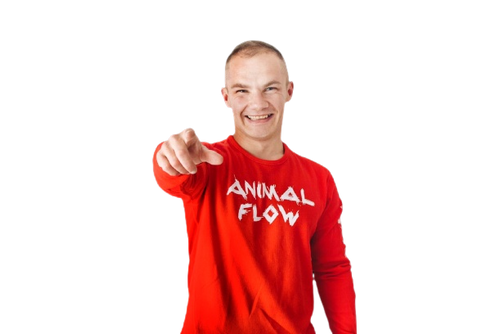 Animal flow online grupa podstawowa