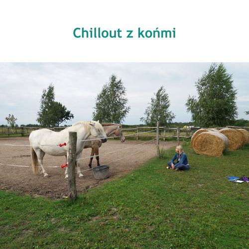 Chillout z końmi - indywidualne spotkanie