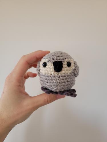 Amigurumi żako kongijskie